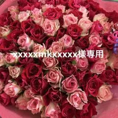 xxxxxmkxxxxx様専用　追加分