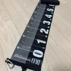 Item thumbnail for item d4e8c575-43ac-444d-9966-165083c4dc86