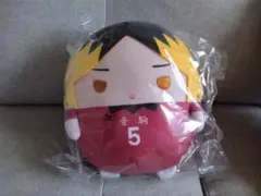 2025年最新】孤爪研磨 ふわコロりんの人気アイテム - メルカリ