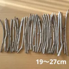 Item thumbnail for item 82746b5a-37aa-44ba-a30e-a0f4a2609659