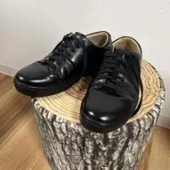 moonstar gently GE102 26.0