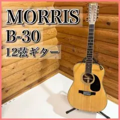 2025年最新】MORRIS B 12弦の人気アイテム - メルカリ