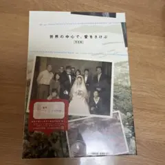 世界の中心で,愛をさけぶ 完全版 DVD-BOX〈6枚組〉