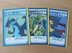 ルカリオEX入り 60枚激闘デッキ 「月刊コロコロイチバン!9月号増刊 XY