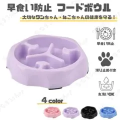 フードボウル　バイオレット　早食い防止　丸呑み防止　餌入れ　ペット食器　犬　ネコ