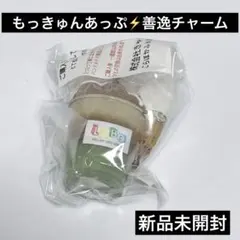 Item thumbnail for item f90a4fb3-1ce4-47b1-adfa-8b513c77da90