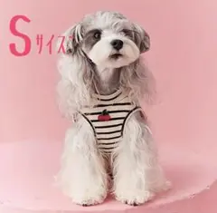 犬服 ボーダー さくらんぼ刺繍 トップス Sサイズ 春服