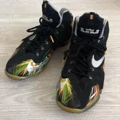 NIKE LeBron XX EP 27cm ベージュ スニーカー - メルカリ