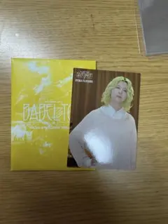 ミセス バベル フォトカ No.28