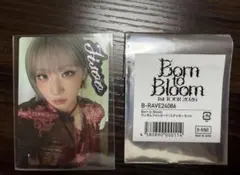 HANA ホルツ トレカ JISOO ジス Born to Bloom - メルカリ