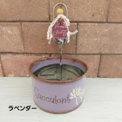 リメイク缶 ☆リメ缶☆ 多肉植物♡乙女心柄♡ꕤ•ᴗ• 【M-230】 - メルカリ