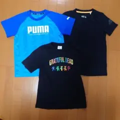 Tシャツ 3枚セット アディダス プーマ GU