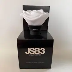 2026年最新】三代目j soul brothers ペンライトの人気アイテム - メルカリ
