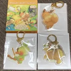 ポケモン　みんなおつかれさま　アクキー　イーブイ　モルペコ　サルノリ