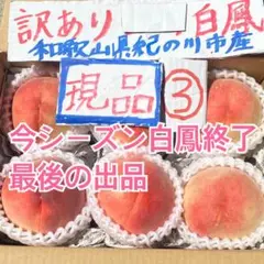 ご家庭用　訳あり　白鳳　桃のサムネイル