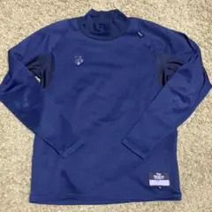 Item thumbnail for item 8aa20858-f733-438a-89e4-7b237116e07c