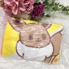 【未使用品】ミスド ポケモンブランケット 福袋 イーブイ ピカチュウ 新品