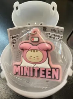 【新品未使用】SEVENTEEN セブチ MINITEEN ジョンハン 2026年最新】ミニティーン seventeen ジョンハンの人気アイテム - メルカリ