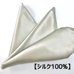 Item thumbnail for item 8774b7f2-bb6b-417d-bd75-faa472589c66