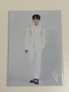 SEVENTEEN 2020 SVT ディノ トレカ