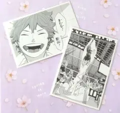 ハイキュー　クロニクルフォトカード　日向2枚セット