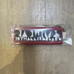 RADWIMPS デビュー前 プロモ CD 激レア 入手困難 非売品 メルカリ