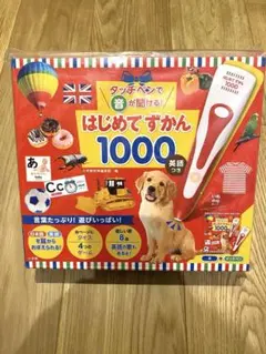 【未開封！】はじめてずかん1000