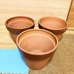 2026年最新】テラコッタ鉢 大型の人気アイテム - メルカリ