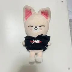 Stray kids THE VICTORY SKZOOフォクシニー