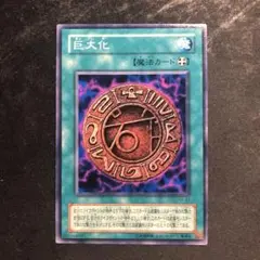 tkg様 リクエスト 2点 まとめ商品