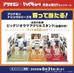 ハイキュー アリナミン ビッグジオラマアクリルスタンド 当選品