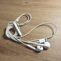 Apple EarPods with Lightning Connector