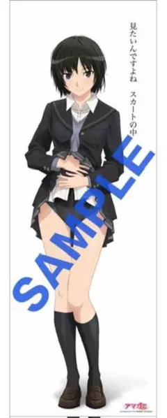 【新品未開封】アマガミSS+ ブルーレイ購入特典 等身大布ポスター 6枚セット 2025年最新】アマガミ 布ポスターの人気アイテム - メルカリ