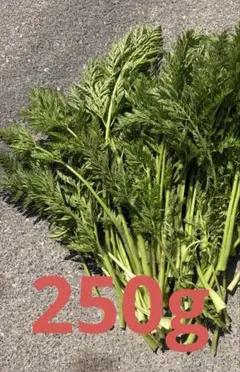 にんじん　葉っぱ　福岡県産　　250g 人参　葉　農薬　化学肥料不使用