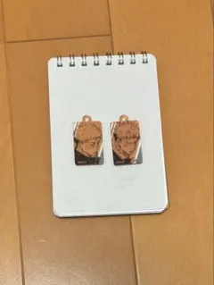 虎杖悠仁 アクリルチャーム 呪術廻戦18巻 同梱版 特典