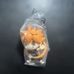 ハイキュー！！　日向翔陽　こんにち輪