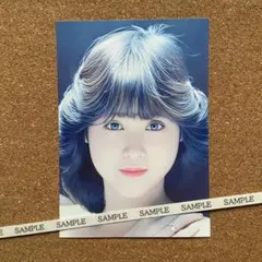 松田聖子写真Lサイズ M-670