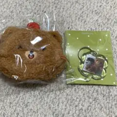 2025年最新】ヘチャン ぬいぐるみ イコムドの人気アイテム