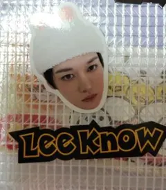 Stray Kids SKZOO フレークシール ステッカー　リノ　展覧会