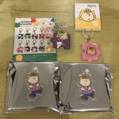 〇 / バッグチャーム ＆ ミニタオル ＆ チャーム セット サリー