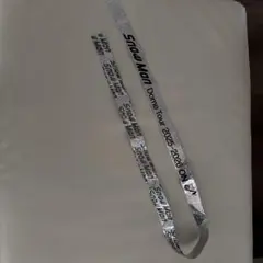 Snow Man Dome Tour 2025-2026 銀テープ