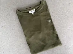 LACOSTE Tシャツ カーキ FR4