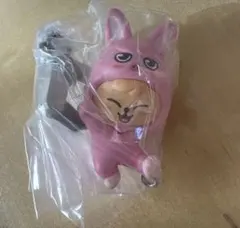 StrayKids SKZOO スンミン パピーム ガチャガチャ