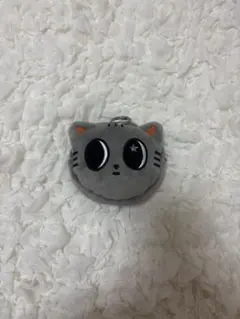 2PM オク・テギョン OKCAT パスケース コインケース 韓国公式新品未