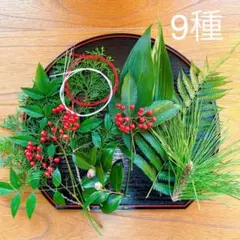 Item thumbnail for item e7ebcd87-d70b-4042-8a30-f6e84a1075fb