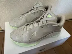 NIKE LEBRON20 EP 27cm The Debut レブロン20 - メルカリ