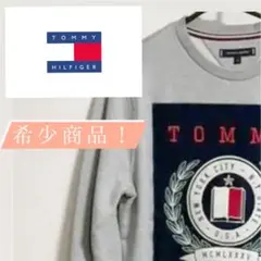 TOMMY HILFIGER メンズ トレーナー グレー