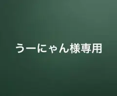 アイロンシール 4インチ 12枚セット 送料込