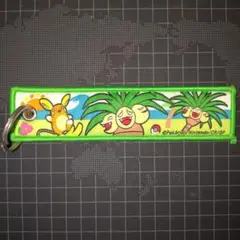 ソラシドエア　ポケモン　ナッシージェット　フライトタグ　宮崎