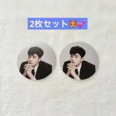 SEVENTEEN ウォヌ　an ode ステッカー　丸ステッカー　2枚